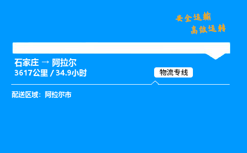 石家莊到阿拉爾物流專線-專業(yè)承攬石家莊至阿拉爾貨運-保證時效